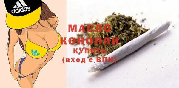 шишки Покачи
