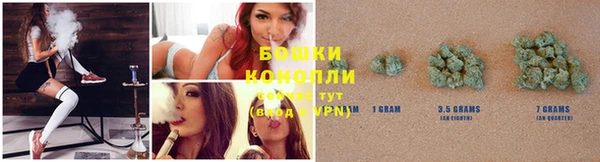 шишки Покачи