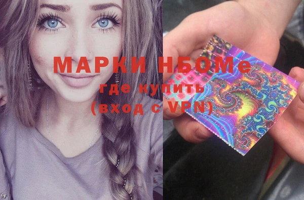 шишки Покачи