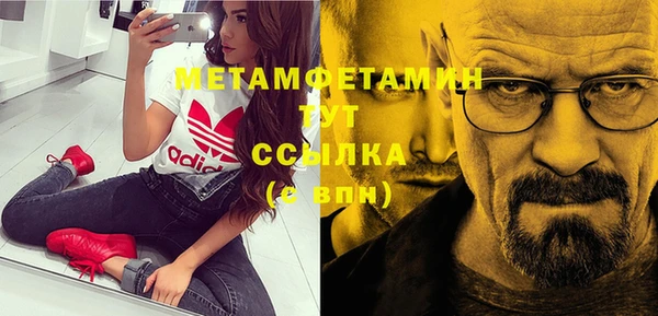 шишки Покачи