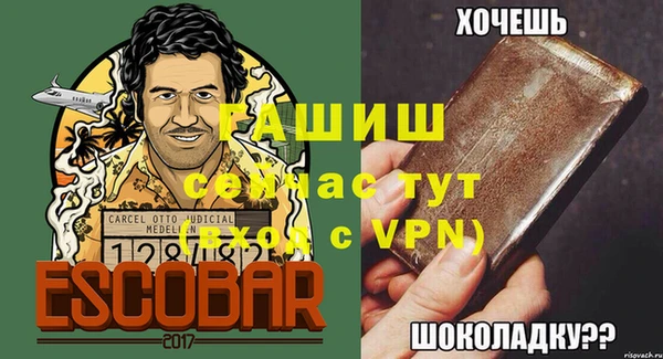 шишки Покачи
