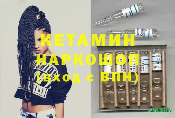 шишки Покачи