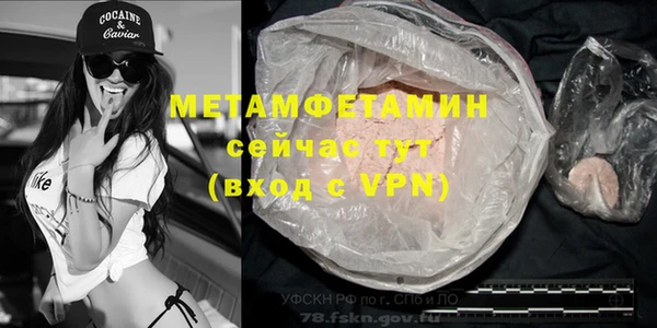 шишки Покачи