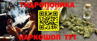 мдпв Гусев