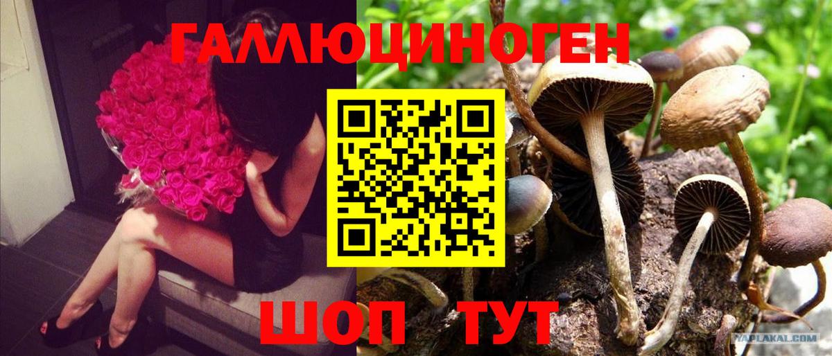 Галлюциногенные грибы прущие грибы  Галлюциногенные грибы Psilocybe  Казань  Вход с VPN 