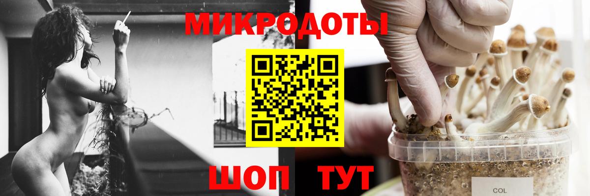 Галлюциногенные грибы Psilocybine cubensis  Казань 